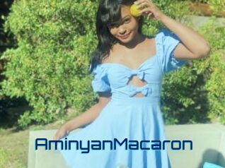 AminyanMacaron