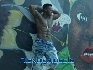 Alexbigmuscle