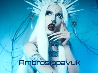 Ambrosiapavuk