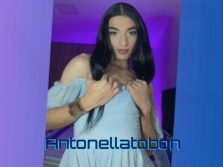 Antonellatobon