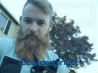 Beardedginger