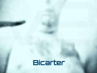 Bicarter