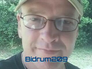 Bidrum209