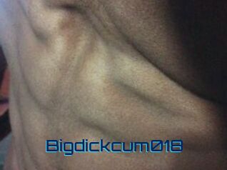 Bigdickcum018