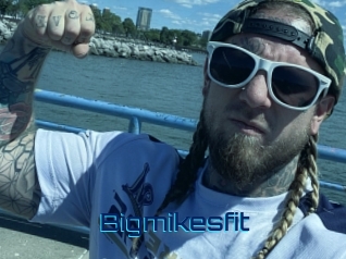 Bigmikesfit