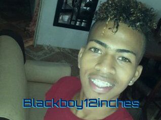 Blackboy12inches