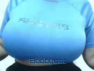 Boobycat