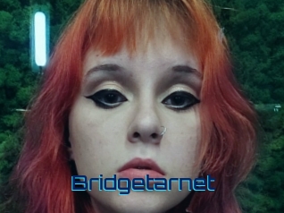 Bridgetarnet