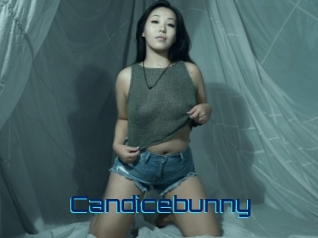 Candicebunny