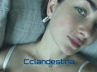 Cclandestina