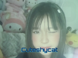 Cuteshycat