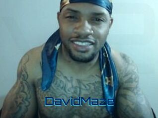 David_Maze
