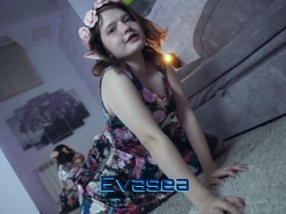 Evasea