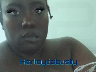 Harleydabusty