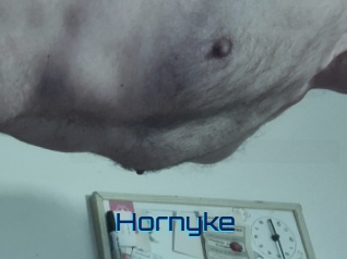 Hornyke