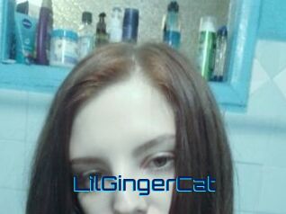 LilGingerCat
