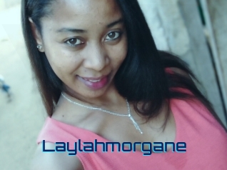 Laylahmorgane