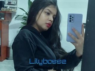 Lilybosse