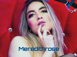 Meredithrose