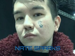 NATE_SPARKS