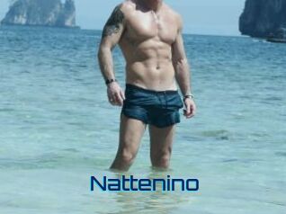 Nattenino