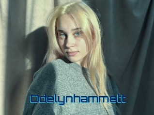 Odelynhammett