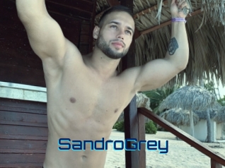 SandroGrey