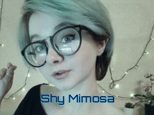 Shy_Mimosa