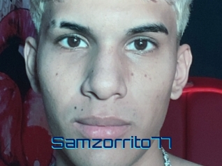 Samzorrito77