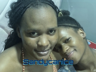 Sandycanice