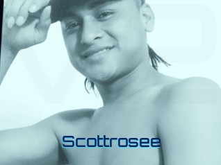 Scottrosee