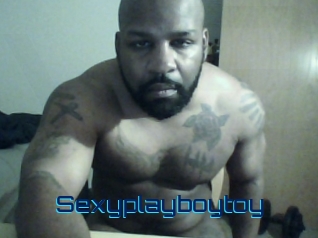 Sexyplayboytoy