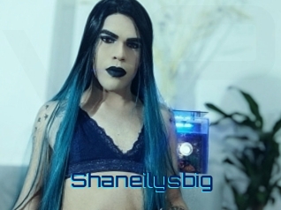 Shaneilysbig