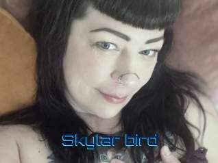 Skylar_bird