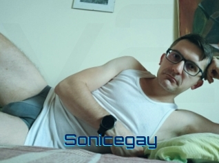 Sonicegay