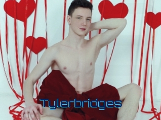 Tylerbridges