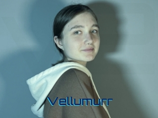 Vellumurr