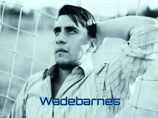 Wadebarnes