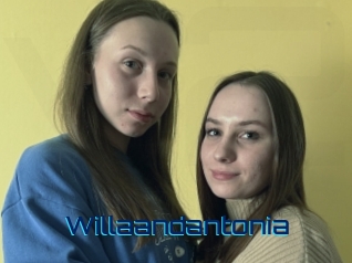 Willaandantonia