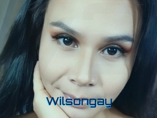 Wilsongay