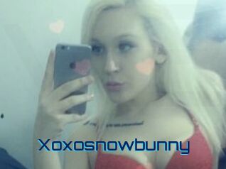 Xoxosnowbunny