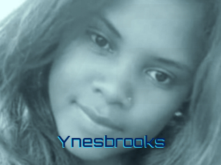 Ynesbrooks