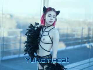 Yukiamecat