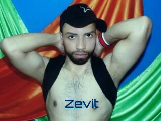 Zevit